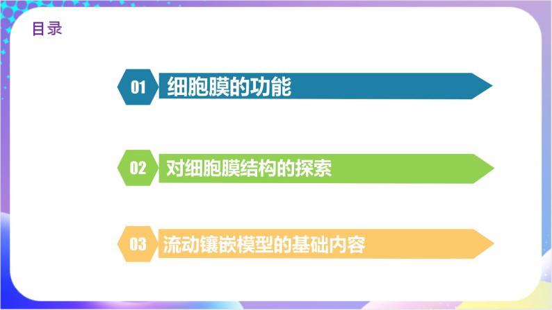 人教版高中生物必修一 3.1《细胞膜的结构和功能》（课件）02