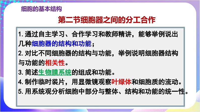 人教版高中生物必修一 3.2《细胞器之间的分工合作》(课件)02