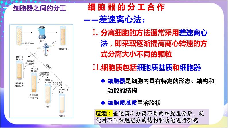 人教版高中生物必修一 3.2《细胞器之间的分工合作》(课件)05