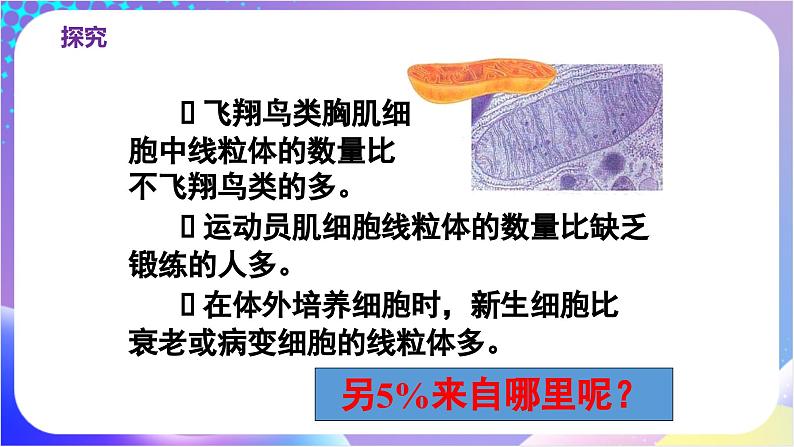 人教版高中生物必修一 3.2《细胞器之间的分工合作》(课件)08
