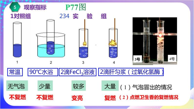 人教版高中生物必修一 5.1.1《酶的作用和本质》（课件）07