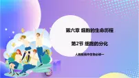生物必修1《分子与细胞》第6章 细胞的生命历程第2节 细胞的分化完美版ppt课件