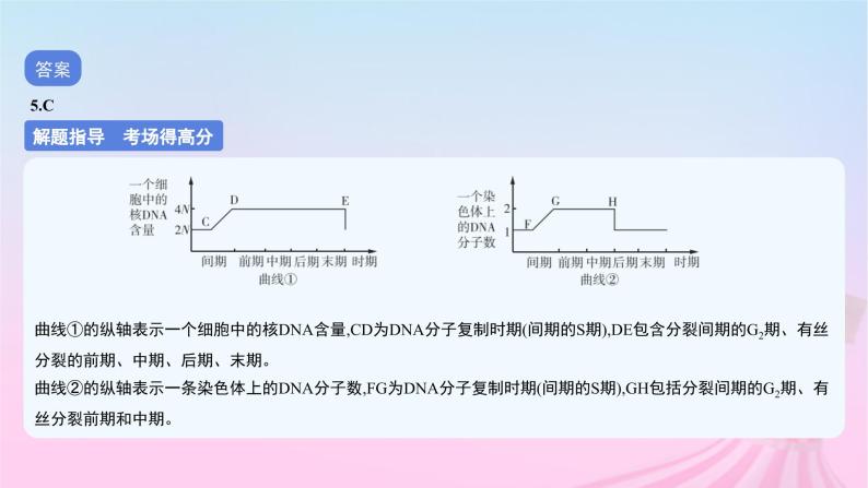 2023_2024学年新教材高中生物专题三细胞的增殖分化衰老和死亡作业课件新人教版必修108