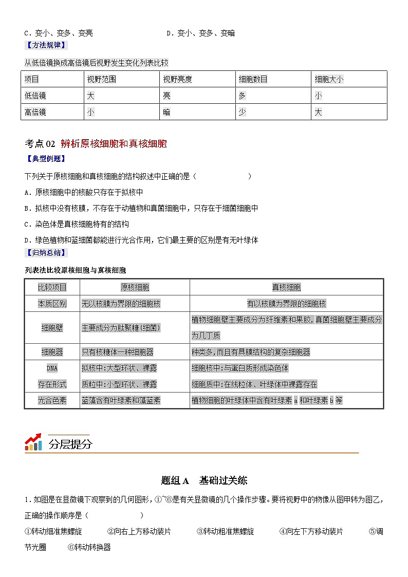 人教版高中 生物(必修一) 同步精品講義1.2 細胞的多樣性和統(tǒng)一性（原卷版） 第2頁