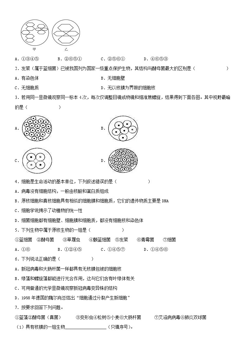 人教版高中 生物(必修一) 同步精品講義1.2 細胞的多樣性和統(tǒng)一性（原卷版） 第3頁