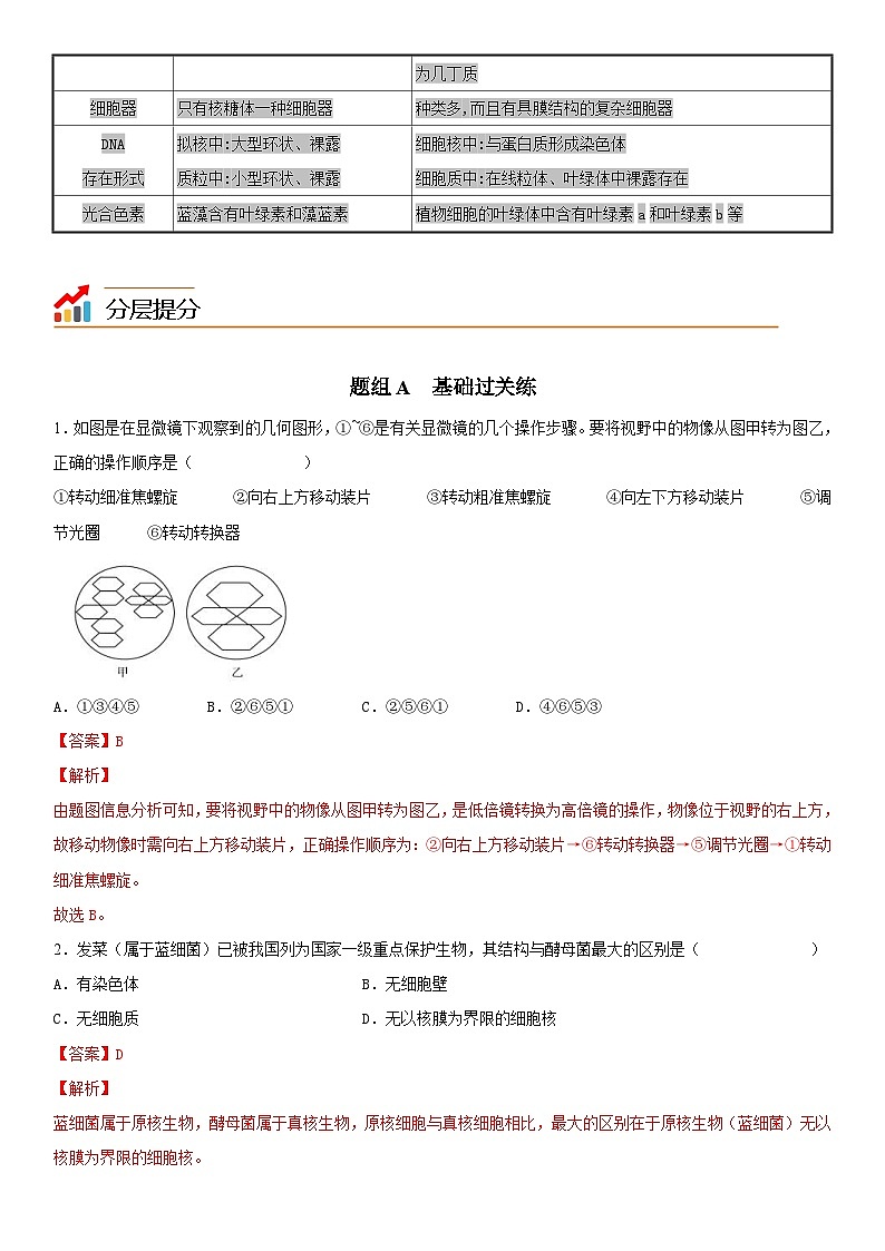 人教版高中 生物(必修一) 同步精品講義1.2 細胞的多樣性和統(tǒng)一性（教師版） 第3頁
