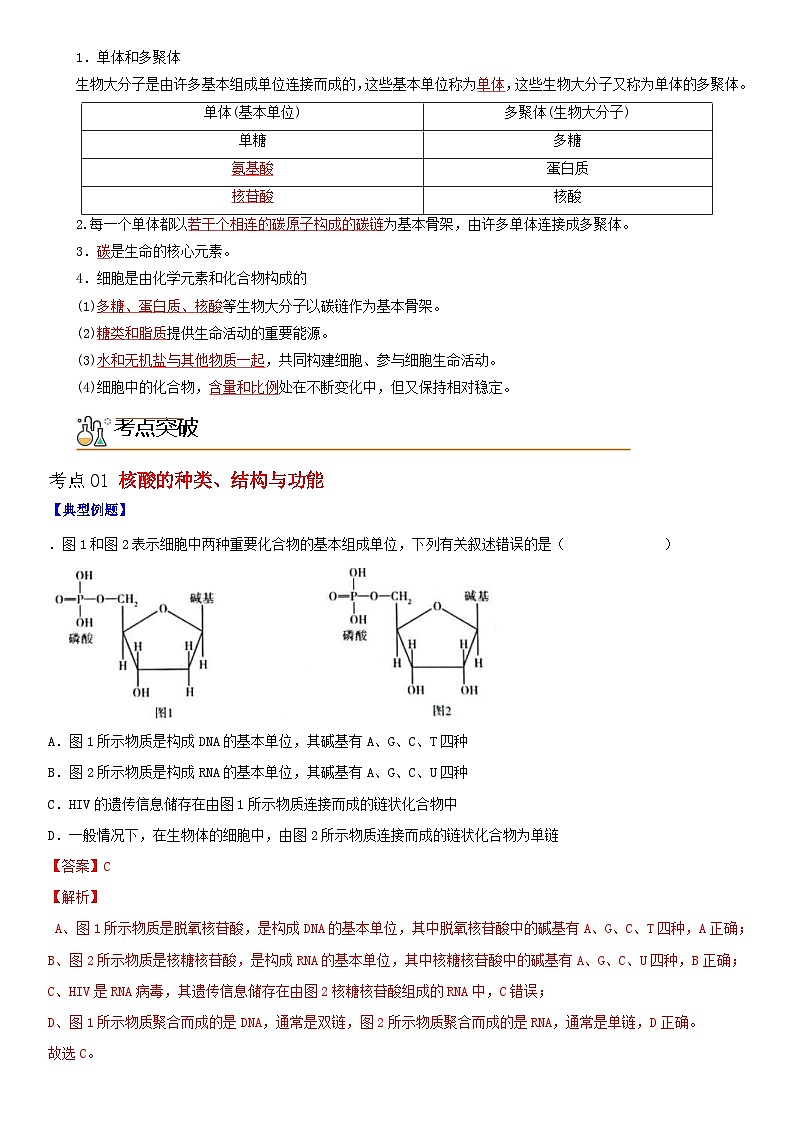 人教版高中 生物(必修一) 同步精品讲义2.5 核酸是遗传信息的携带者(2份打包,原卷版+教师版)02