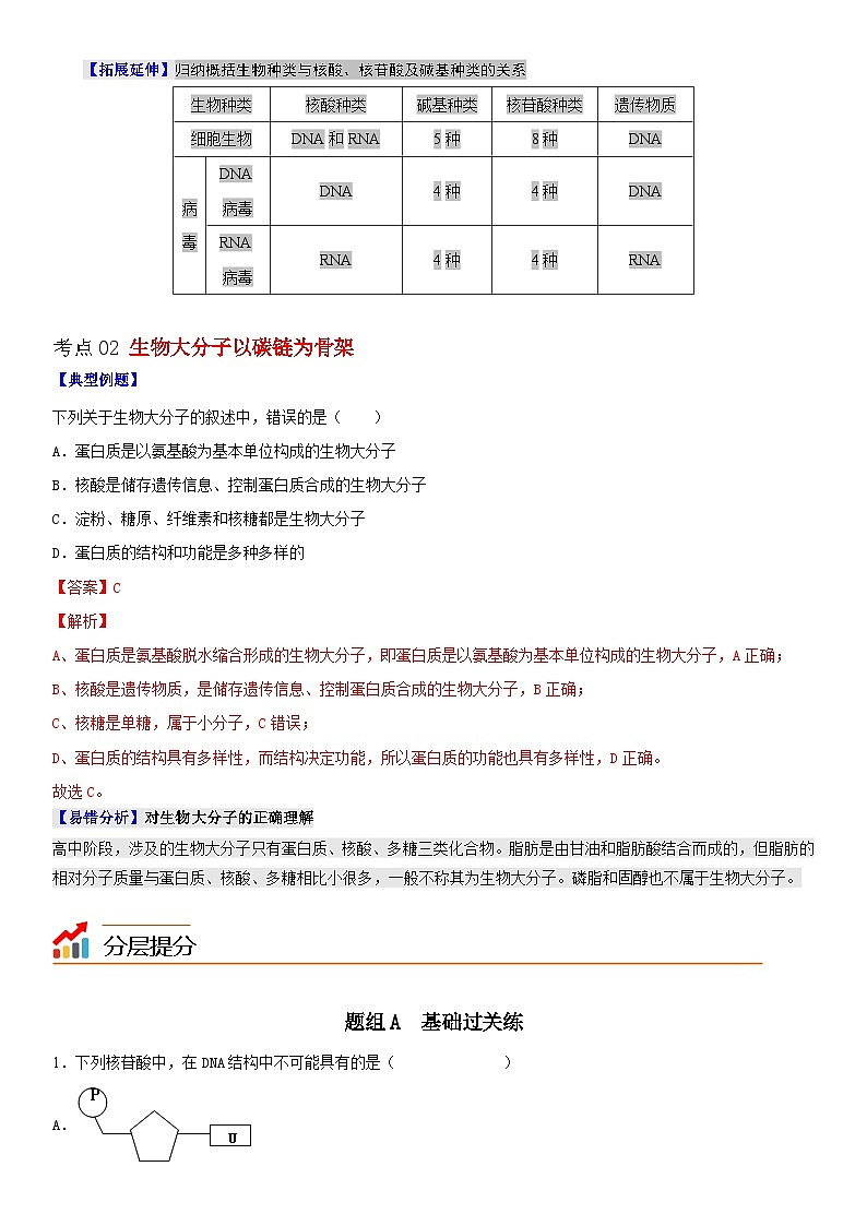 人教版高中 生物(必修一) 同步精品讲义2.5 核酸是遗传信息的携带者(2份打包,原卷版+教师版)03