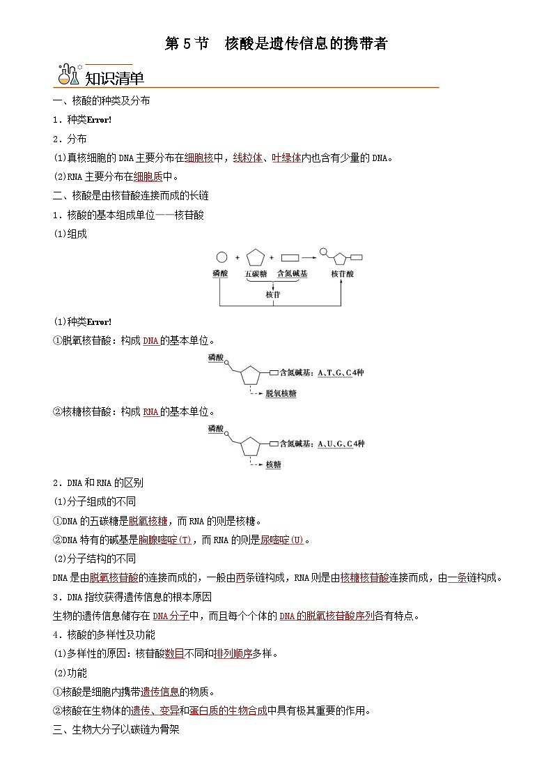 人教版高中 生物(必修一) 同步精品讲义2.5 核酸是遗传信息的携带者(2份打包,原卷版+教师版)01
