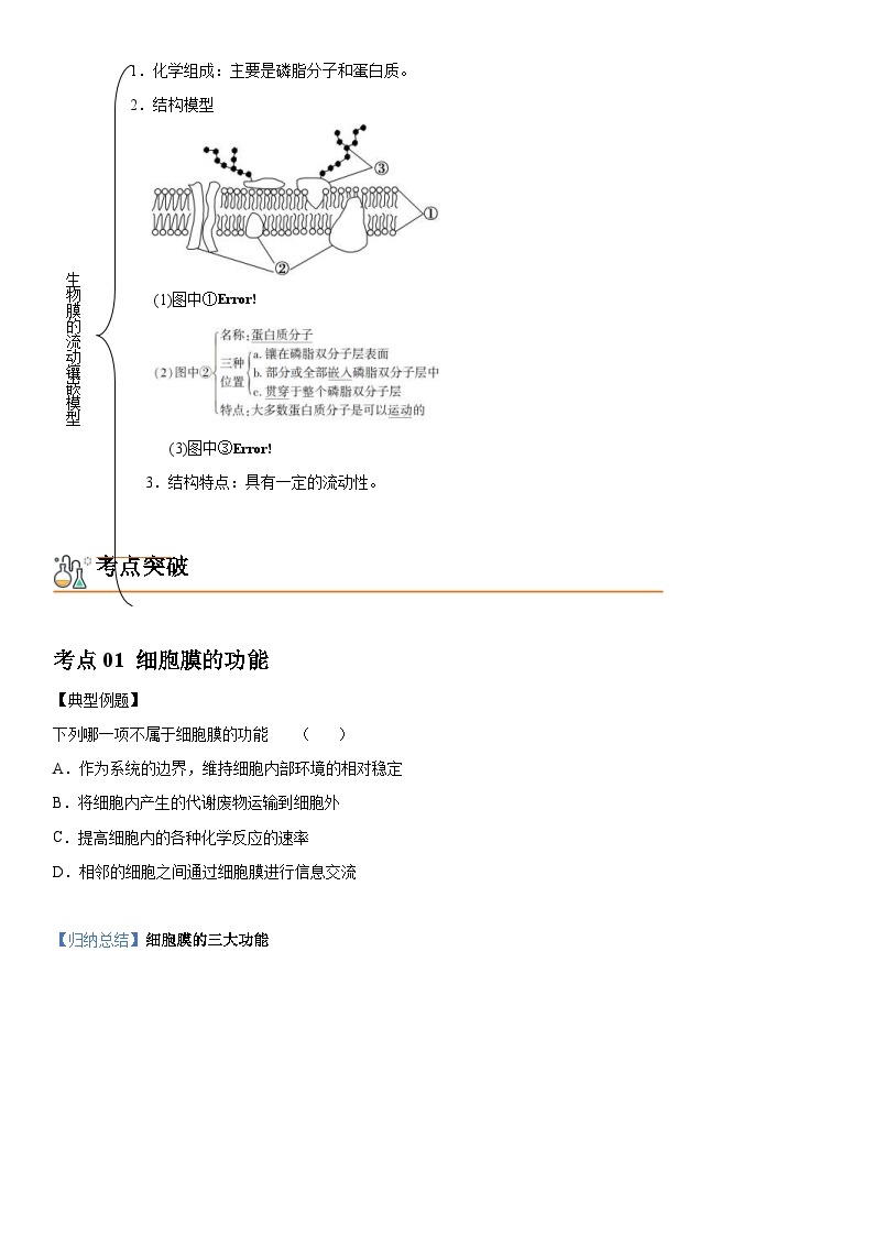 人教版高中 生物(必修一) 同步精品讲义3.1 细胞膜的结构和功能（2份打包，原卷版+教师版）02