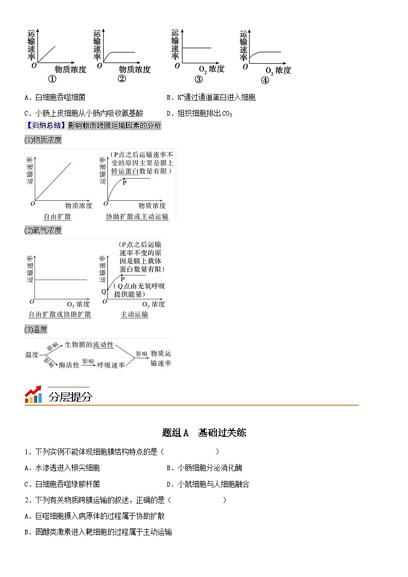 人教版高中 生物(必修一) 同步精品講義4.2 主動運(yùn)輸與胞吞、胞吐（原卷版） 第3頁