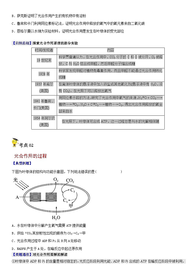 人教版高中 生物(必修一) 同步精品讲义5.4.2 光合作用的原理和应用(原卷版) 第3页