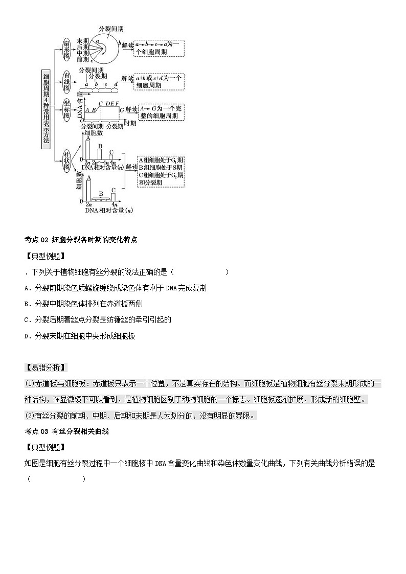 人教版高中 生物(必修一) 同步精品講義6.1.1 細胞周期和高等植物細胞的有絲分裂（原卷版） 第3頁