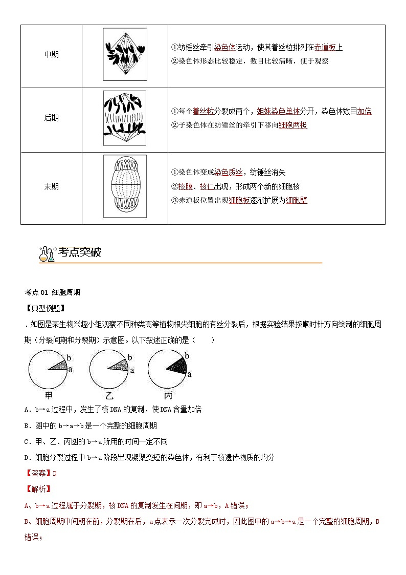 人教版高中 生物(必修一) 同步精品講義6.1.1 細胞周期和高等植物細胞的有絲分裂（教師版） 第2頁