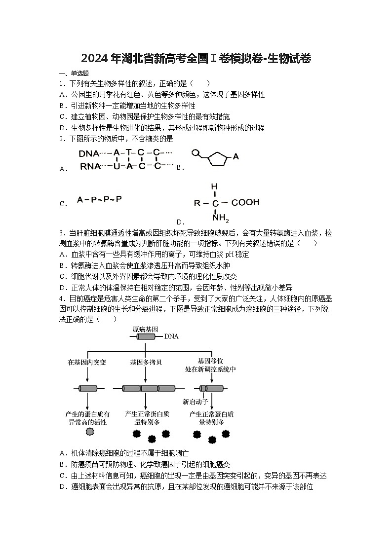 2024届湖北省新高考全国Ⅰ卷模拟-生物试卷第1页
