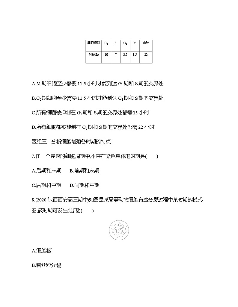 高中生物人教版(2019)必修1第六章6.1《细胞的增殖》课件+同步练习03