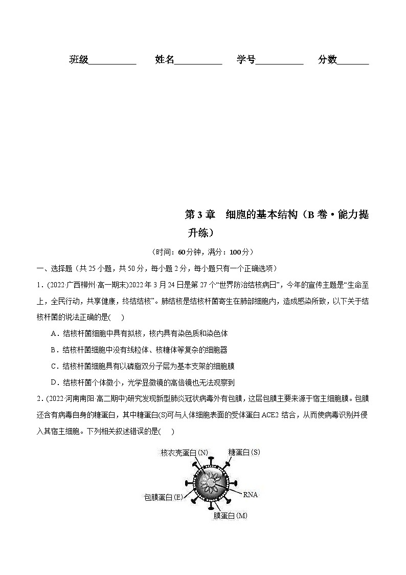 人教版(必修一)高中生物分层训练AB卷第3章 细胞的基本结构(B卷·能力提升练)(2份打包,原卷版+教师版)01