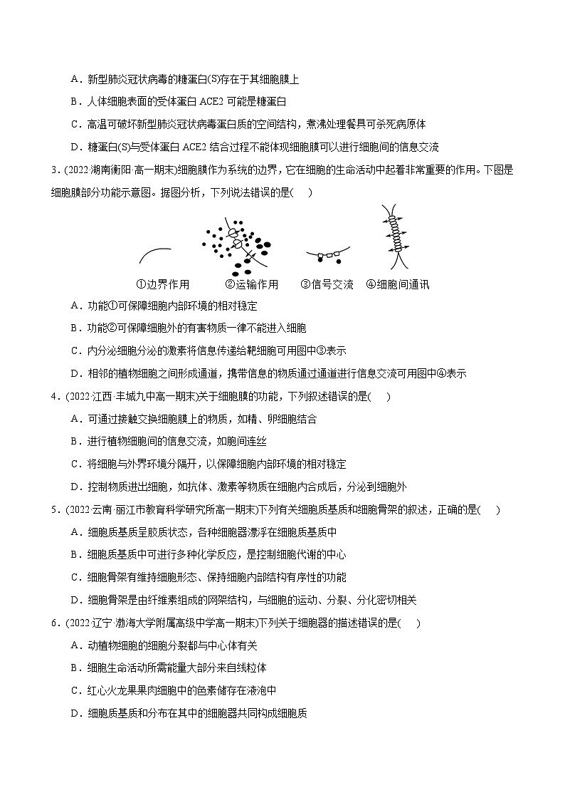 人教版(必修一)高中生物分层训练AB卷第3章 细胞的基本结构(B卷·能力提升练)(2份打包,原卷版+教师版)02