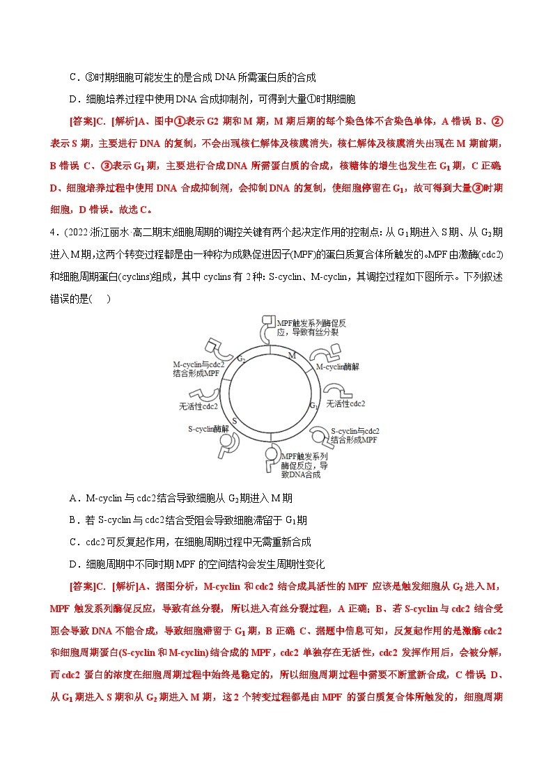 人教版(必修一)高中生物分层训练AB卷第6章  细胞的生命历程（B卷·能力提升练）（2份打包，原卷版+教师版）03