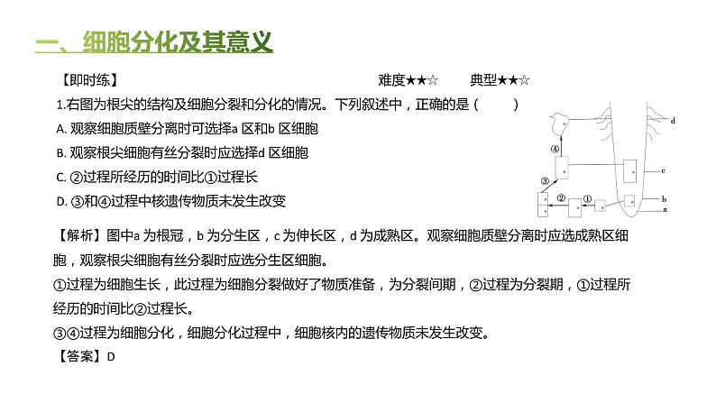 高中生物人教版(2019)必修1第六章6.2《细胞的分化》课件第8页