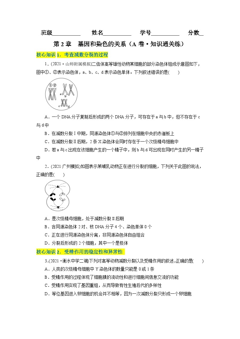 人教版(必修二)高中生物分层训练AB卷第2章  基因和染色体的关系（A卷·知识通关练）（2份打包，原卷版+教师版）01