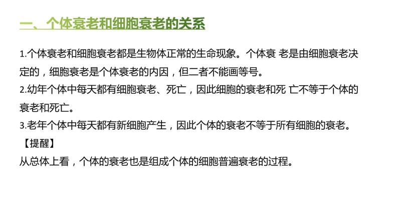 高中生物人教版（2019）必修1第六章6.3《细胞的衰老和死亡》课件+同步练习03