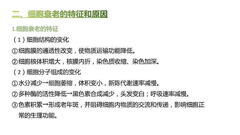 高中生物人教版(2019)必修1第六章6.3《细胞的衰老和死亡》课件+同步练习05