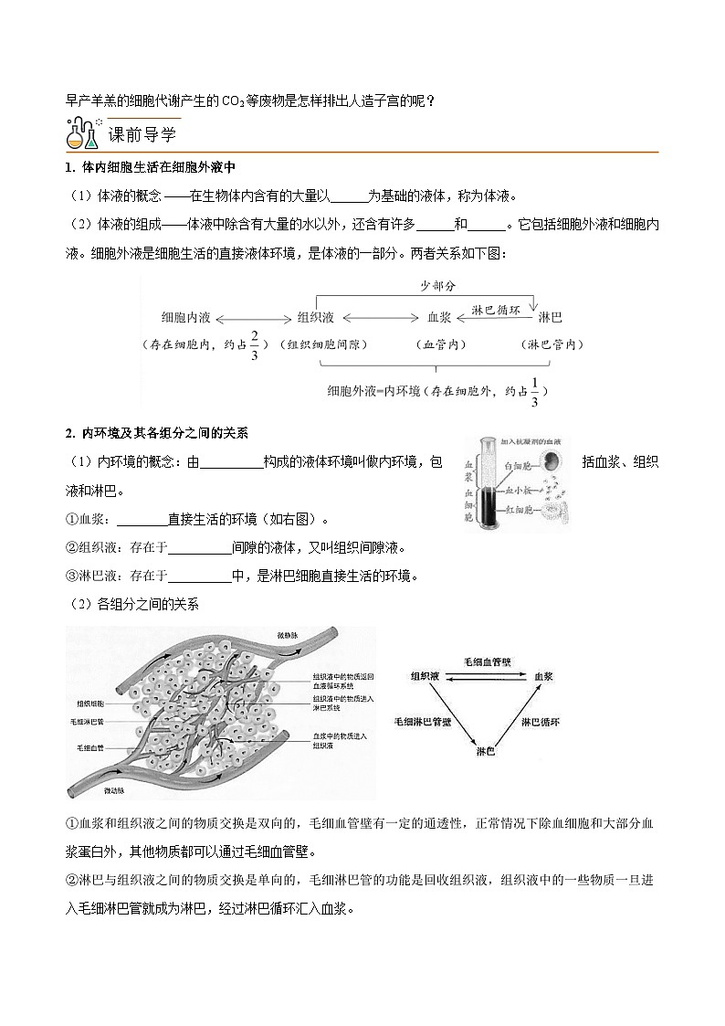 人教版(选择性必修一)高中生物同步精品讲义1.1 细胞生活的环境(2份打包,原卷版+教师版)02