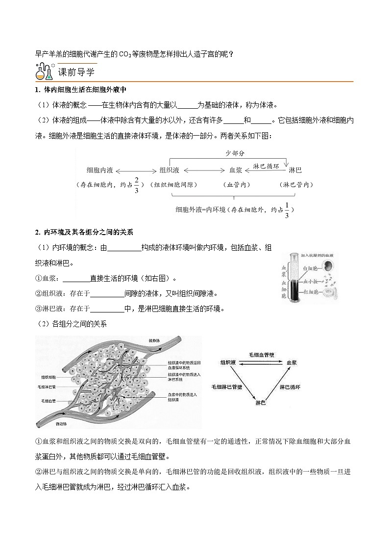 人教版(选择性必修一)高中生物同步精品讲义1.1 细胞生活的环境(2份打包,原卷版+教师版)02