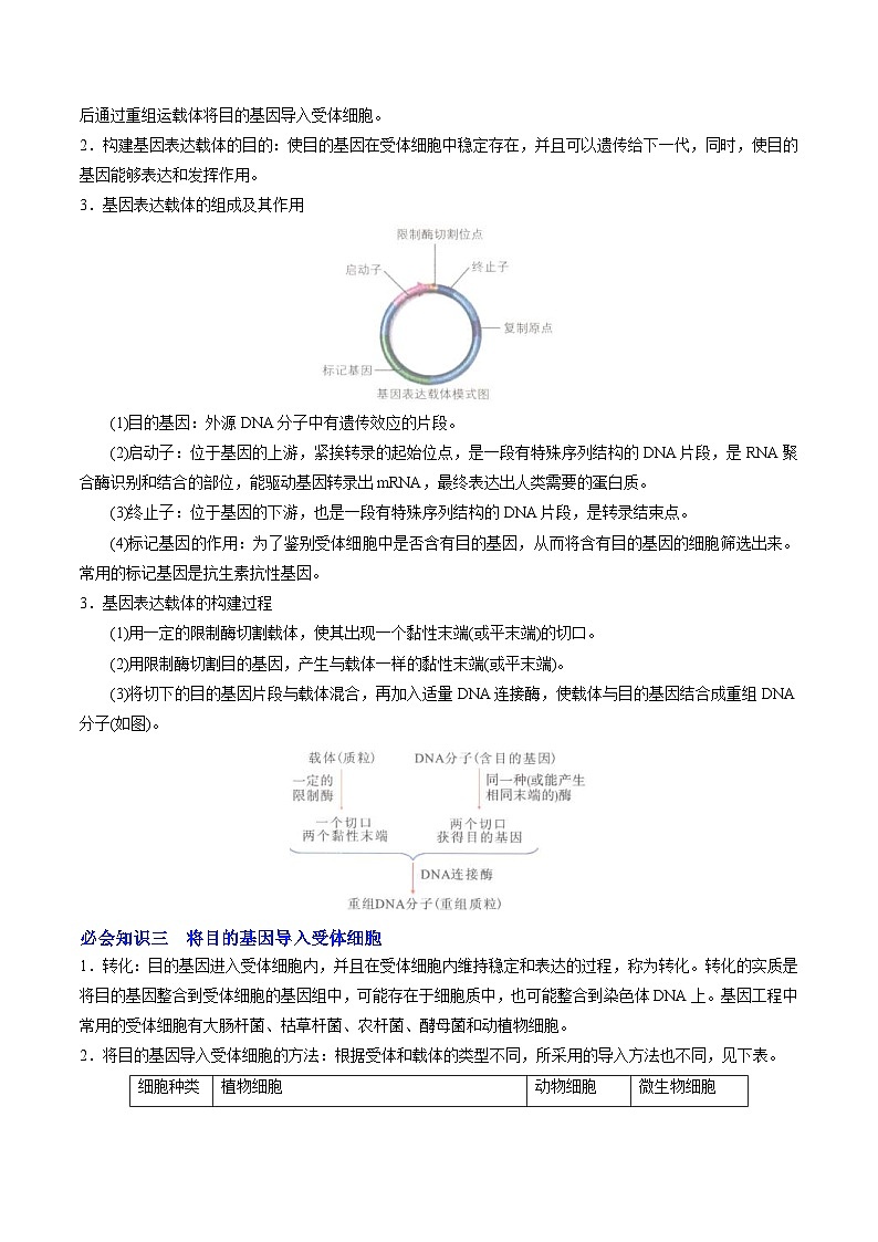 人教版(选择性必修三)高中生物同步精品讲义3.2 基因工程的基本操作程序(2份打包,原卷版+教师版)03