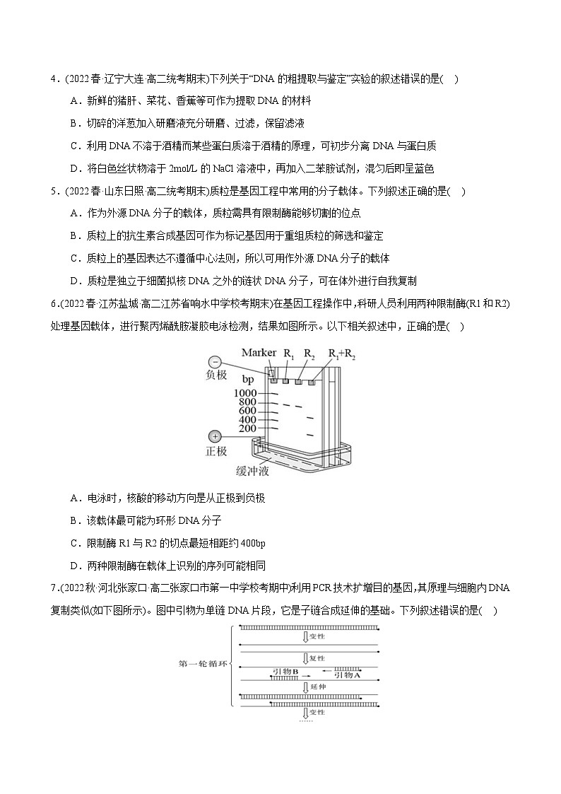 人教版(选择性必修三)高中生物分层训练AB卷第3章 基因工程(B卷·能力提升练)(2份打包,原卷版+教师版)02