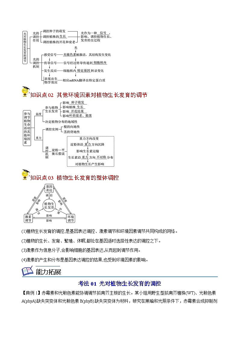 人教版(选择性必修一)高中生物同步精品讲义5.4 环境因素参与植物的生命活动(2份打包,原卷版+教师版)03