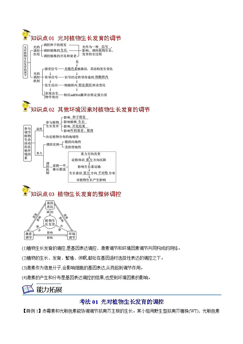 人教版(选择性必修一)高中生物同步精品讲义5.4 环境因素参与植物的生命活动(2份打包,原卷版+教师版)03