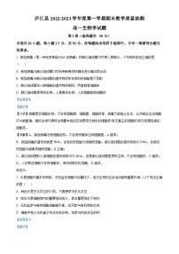 安徽省合肥市庐江县2022-2023学年高一上学期期末生物试题（解析版）