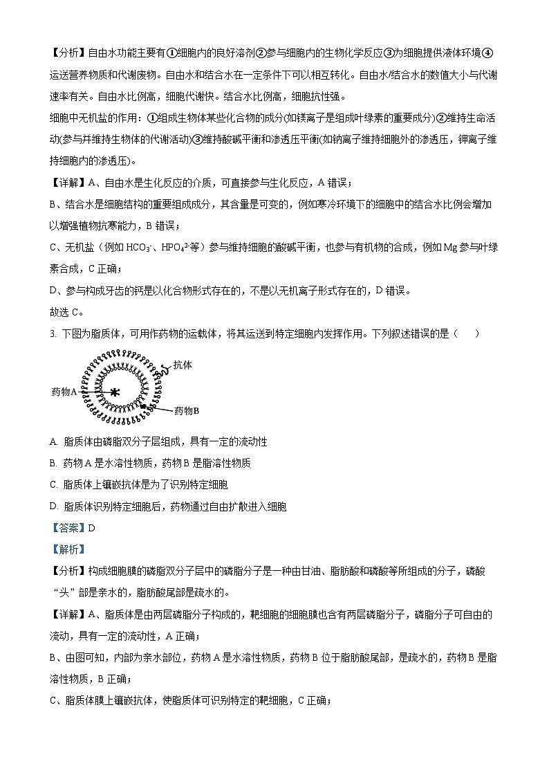 安徽省合肥市庐江县2022-2023学年高一上学期期末生物试题(解析版)第2页