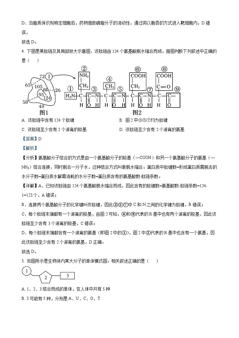 安徽省合肥市庐江县2022-2023学年高一上学期期末生物试题(解析版)第3页