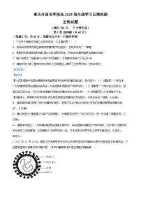 重庆市重庆实验外国语学校2022-2023学年高一上学期期末生物试题（解析版）