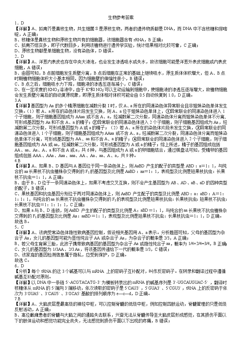2024岳阳县一中高三开学考试生物试题含答案01