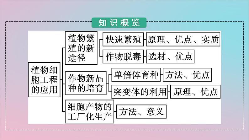 新教材2023年高中生物第2章细胞工程第1节植物细胞工程第2课时植物细胞工程的应用课件新人教版选择性必修3第3页