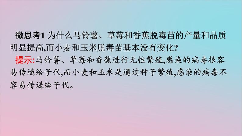 新教材2023年高中生物第2章细胞工程第1节植物细胞工程第2课时植物细胞工程的应用课件新人教版选择性必修3第5页