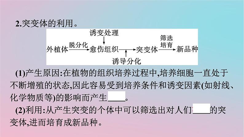 新教材2023年高中生物第2章细胞工程第1节植物细胞工程第2课时植物细胞工程的应用课件新人教版选择性必修3第8页
