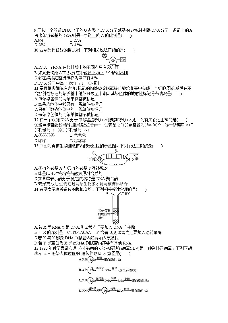 浙科版2019 高中生物 必修2 第三章遗传的分子基础过关检测(含答案解析)02