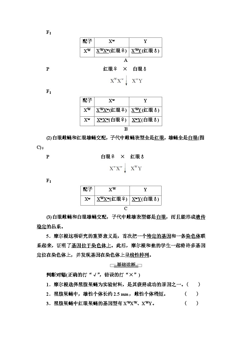 苏教版（2019）高中生物： 必修2 第1章 第4节 第1课时 基因位于染色体上的实验证据 学案 （Word版含解析）03