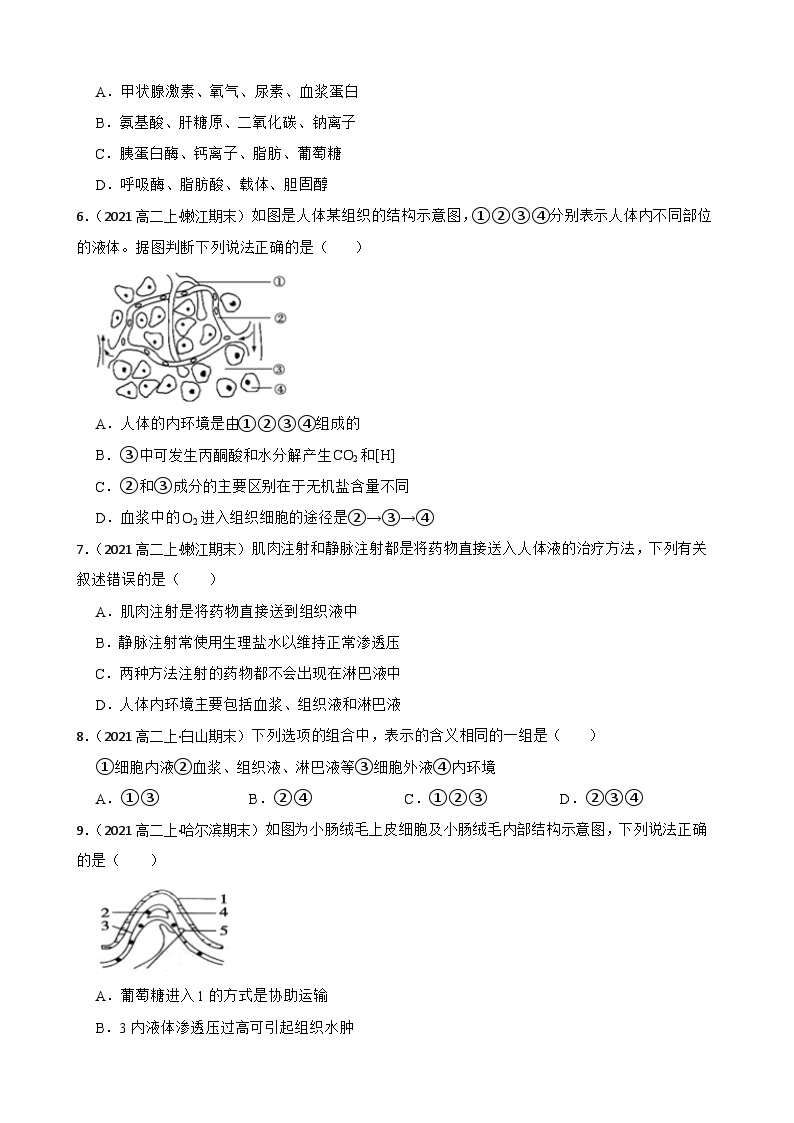 苏教版2019 高中生物  选择性必修一 第二章 人体内环境与稳态 单元检测02