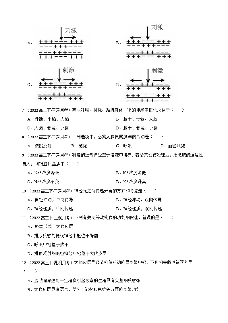 苏教版2019 高中生物 选择性必修一1.1 神经调节（同步练习）02