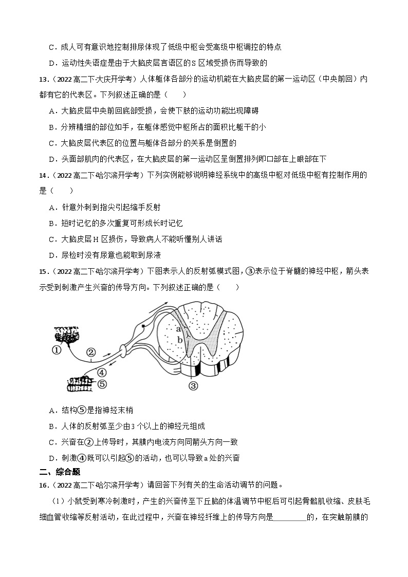 苏教版2019 高中生物 选择性必修一1.1 神经调节（同步练习）03