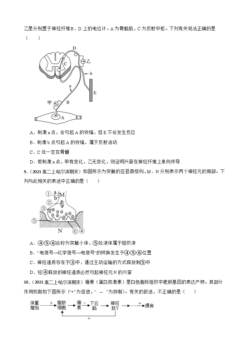 苏教版2019 高中生物 选择性必修一第一章 人体稳态维持的生理基础 （单元测试）03