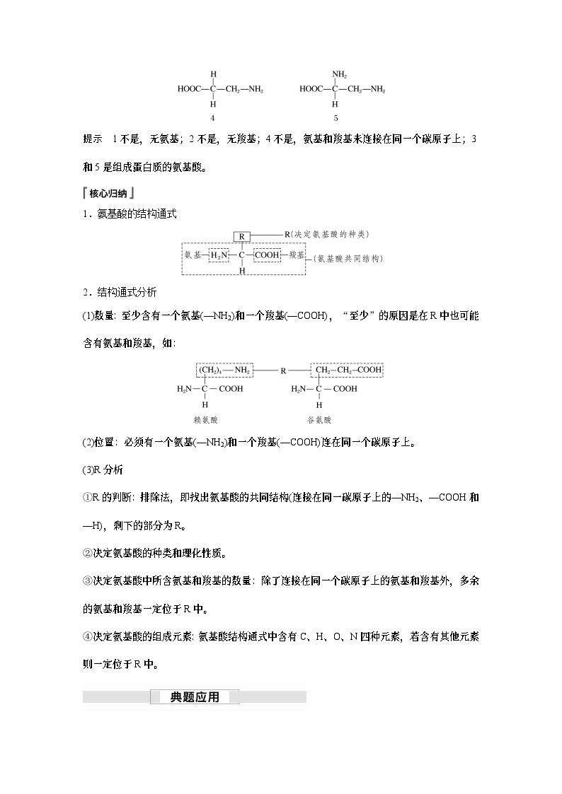 苏教版(2019）高中生物 必修1   第一章 第三节 第1课时　细胞的功能主要由蛋白质完成（学案+课时对点练 word版含解析）02