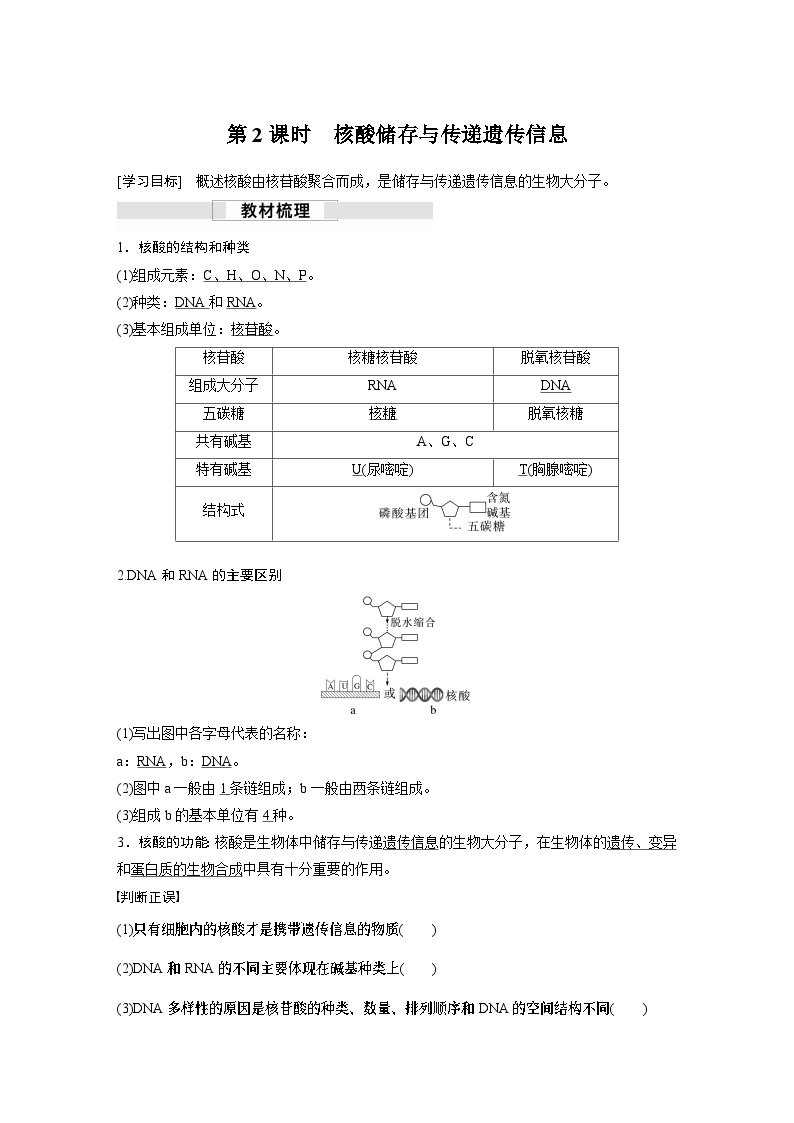 苏教版(2019）高中生物 必修1   第一章 第三节 第2课时　核酸储存与传递遗传信息（学案+课时对点练 word版含解析）