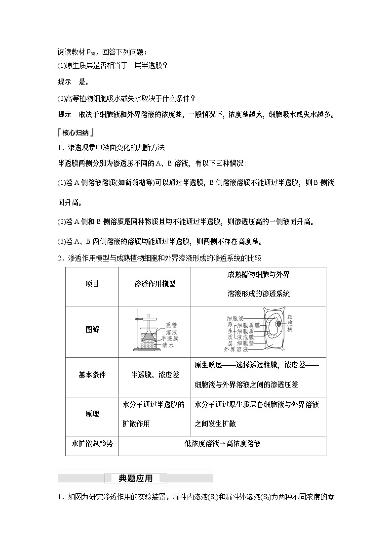 苏教版(2019）高中生物 必修1   第二章 第三节 第1课时　细胞质膜具有选择透过性（学案+课时对点练 word版含解析）03